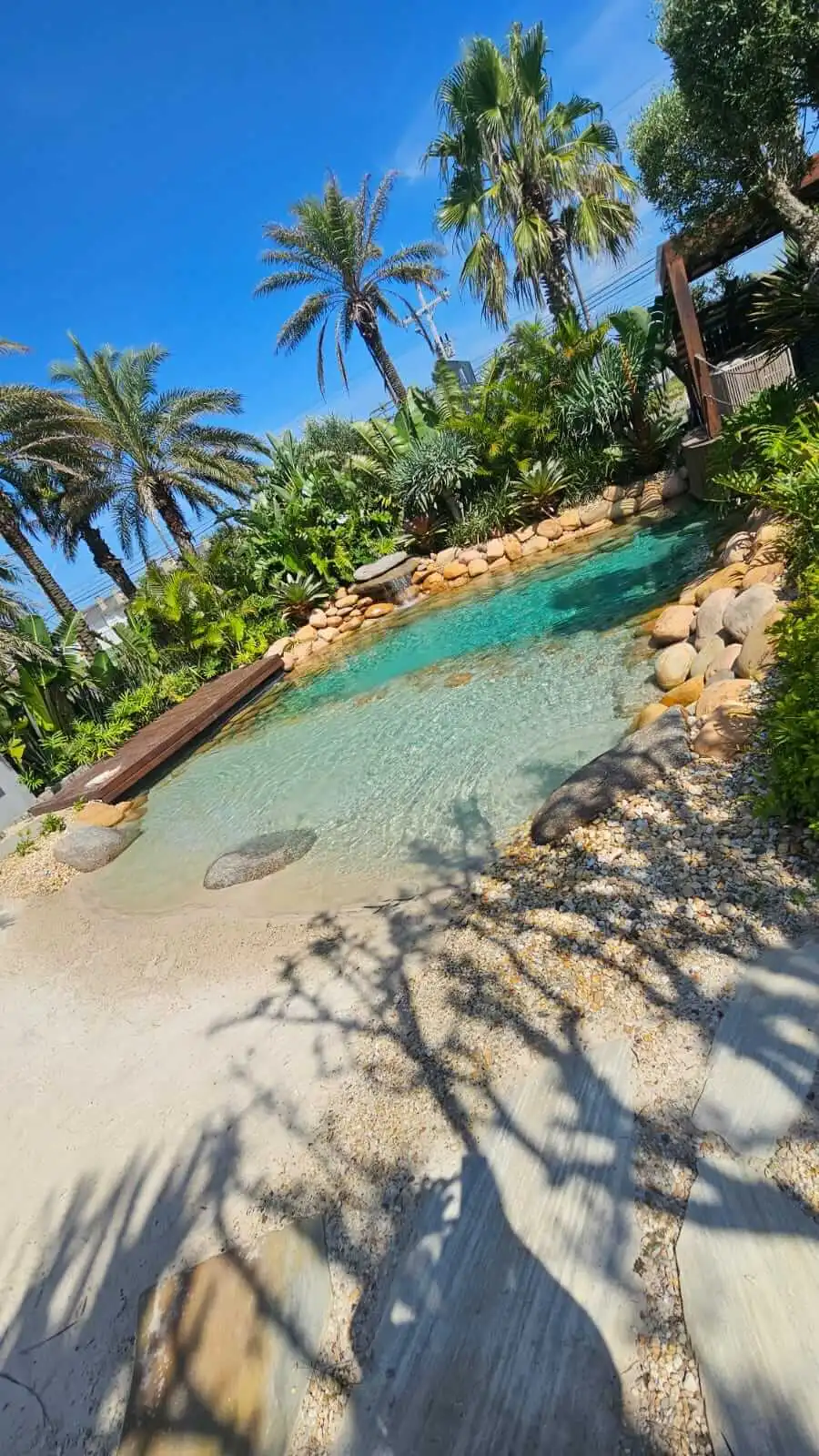 paisagismo lago piscina natural